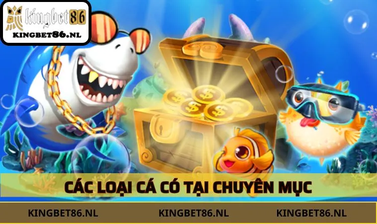 Các loại cá có tại chuyên mục