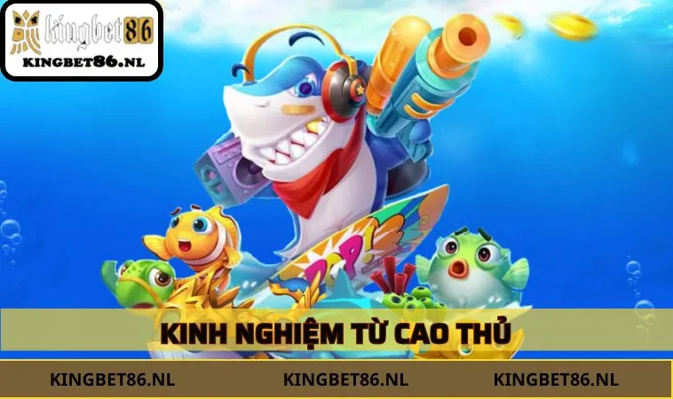 Kinh nghiệm từ cao thủ