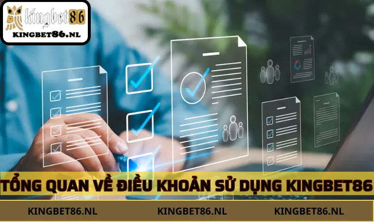 Thông tin về chính sách điều khoản sử dụng